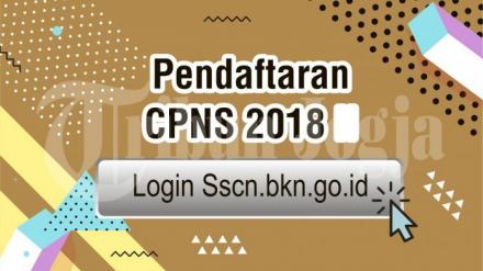 Pendaftaran CPNS 2018, Bantul Buka 340 Formasi Guru SD, Honorer K2 Hanya 4 Orang